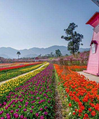 ��Ĳز�ס�����������·�ȥ�����ͻ������