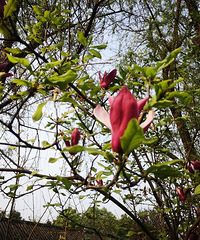 ��ĸɽ���ܴ������Ϣ