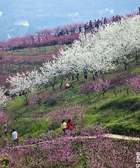 �����ʺ�̤��ĵط�