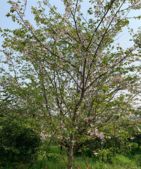 ����ӣ������ֻ��ȥ���ָ���~