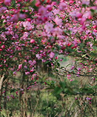 ���ⷢ�֣������������ӣ�����������