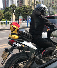 ȥ��Ƥ�����ڻ�����ż����λ��������ʿ