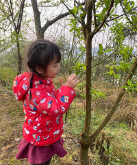 �ô������ޣ����޻��ϼҸ��ܴ�ů����