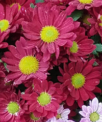 ��ĩ���������У��˻�����