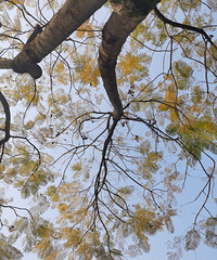 ��ĸɽ��԰����̤���ȥ��