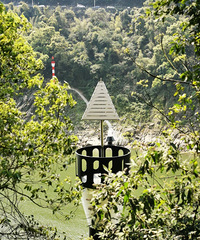 ŷɹŵҰȪòˬ죬˳ȥŻ԰