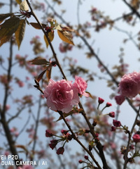 ����ͻ���ɽ��ˮ�㳬�ÿ�