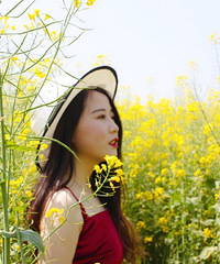 阳春三月,复盛油菜花和铁山坪踏青