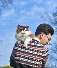 ����������ܺã���������ȥ����ɽ����ʪ�ع�԰