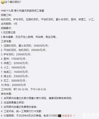 Ҫ��Ҫȥ�����ӦƸ������˾�������������ֱ�ˡ�����