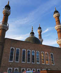 ڴ½ ³ľ-˹-׹-ľ--³