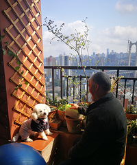 ҵĵ꣬ڰС̨˻԰ĸо