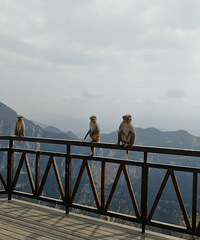 �������׿�ҵ�ˣ�������������֤�������