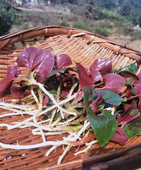 ̽Ѱ山ũ˵ˣ£¶Ӫտ