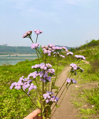 ϾȻôõĵطŷݣտˣˮﳵ