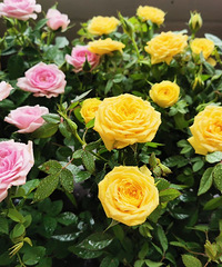 ͻͺ裬̨Ҽڻĵط