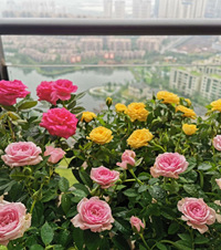 ��̨���Ҽ������ڼ����ĵط����ͻ��ͺ������