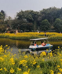这个地方能赏油菜花,还能划船