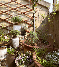 130ƽ԰+2¶̨ͻȲУӯ