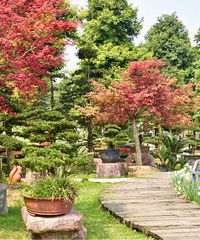 ů����ʱ�⣬���뻨������Ȼ����Ϣ��