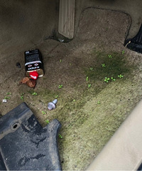 û�ж��������ŵ�ĺ��......