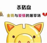 在类似杀猪盘的公司上班,说下经历