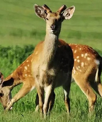 �̵���������پ�����С�ھ��㣬���ó�����Ϳ��ԡ��Ρ�ȫ��