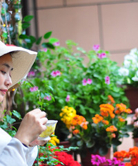 ֻ6ƽ̨ҷ˴ССʮ軨