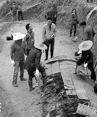 ���Ϻ��ġ��ּ�լ37����ɱ����