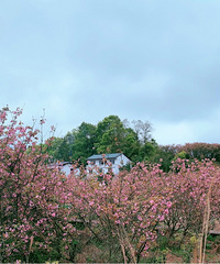 ���ⴳ��ӣ���֣������ͻ�������