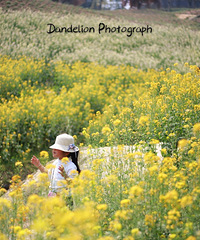 ���ꡰר�ġ����Ͳ˻�~�����ط����в�ͬ����