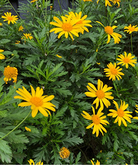 Լ˵߾ߵܱΣĴׯĺ˯ҰȤ