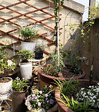 Ҫ԰أ130ƽĻ԰ȴֻ10ƽ