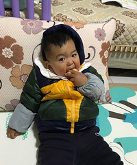 一个小吃货的养成记,你们看看这个吃相,真是不摆了