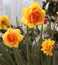 20򵽵СҸˮ̫ʺˣܸ