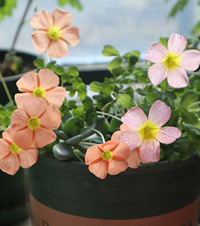 20򵽵СҸˮ̫ʺˣܸ