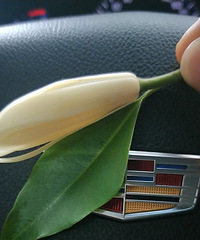 �������˳�����һ��Ҫ�ڱ������ڻ�����