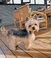 ̨Ļݲ̫ˣ񲹸֪ʶ˻԰