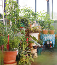 ̨Ļݲ̫ˣ񲹸֪ʶ˻԰