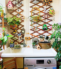 ֻ2.4ƽ̨ϴ·ɹ̨ҲҵС԰