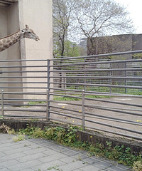 ����������춯��԰���Ժ��ӵĽǶȿ�����Щ������