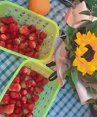 ����һ����Сʱ�������տ���ժ��ݮ������