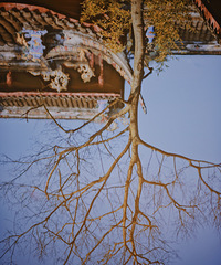 �ɽ �����԰ ������