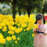 这个公园适合带娃去