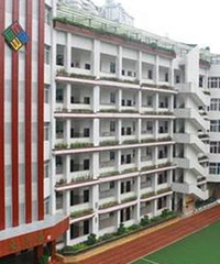 星光小学、新村小学、博雅小学怎么选?能读这三所,都没有很理想