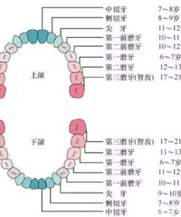 4岁男孩牙齿全黑,最伤孩子牙齿的不是糖,而是……