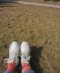 ������˫����������Ь�����Ǽ۸񲻹������ͬ��ô���