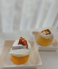 �չ�֮��Ŀ񻶣�ʮһ�Ҳ��������㲻���ҵ�θ