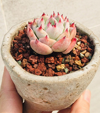 ¶д¶̨¼ңҵϰȫϮ