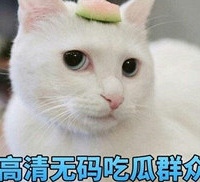 ��Ѿͷ��С��������һ�׷����ľ籾